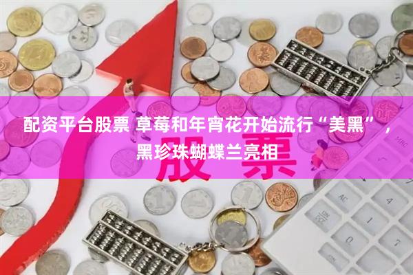 配资平台股票 草莓和年宵花开始流行“美黑” ，黑珍珠蝴蝶兰亮相