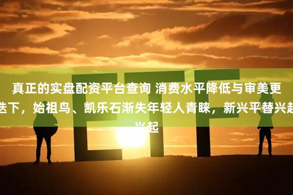 真正的实盘配资平台查询 消费水平降低与审美更迭下，始祖鸟、凯乐石渐失年轻人青睐，新兴平替兴起