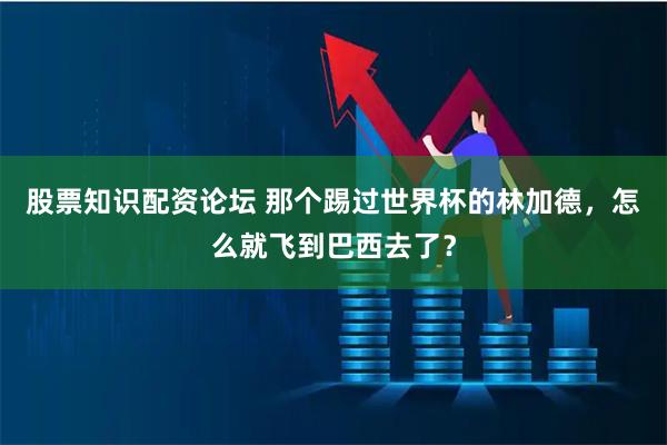 股票知识配资论坛 那个踢过世界杯的林加德，怎么就飞到巴西去了？
